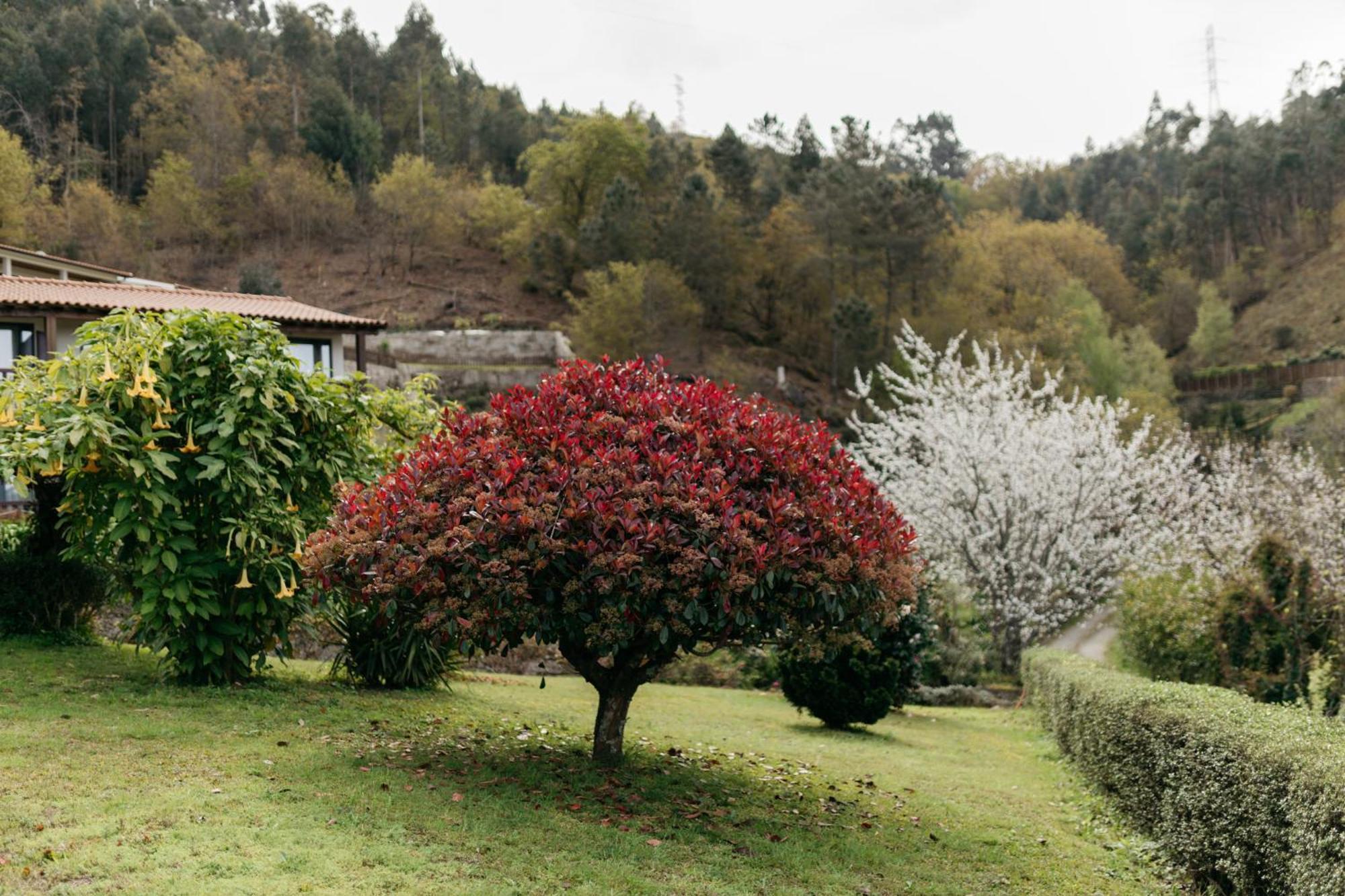 Quinta Do Bento Hotel วีเอย์รา ดู มีโญ ภายนอก รูปภาพ